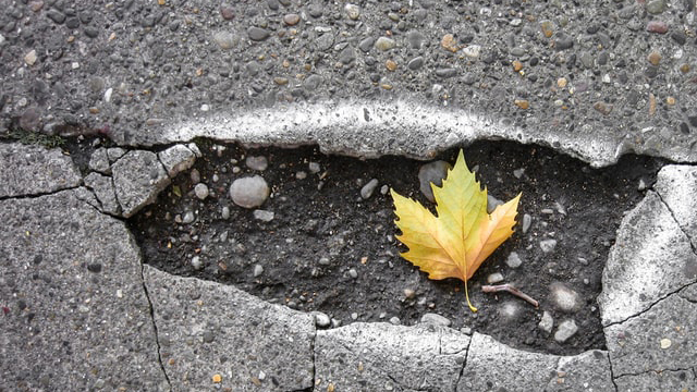 A pothole in the road with a leaf inside of the pothole